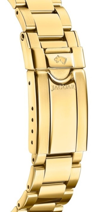 Bild von Jaguar Executive Diver