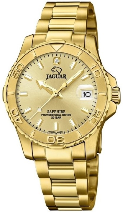 Bild von Jaguar Executive Diver