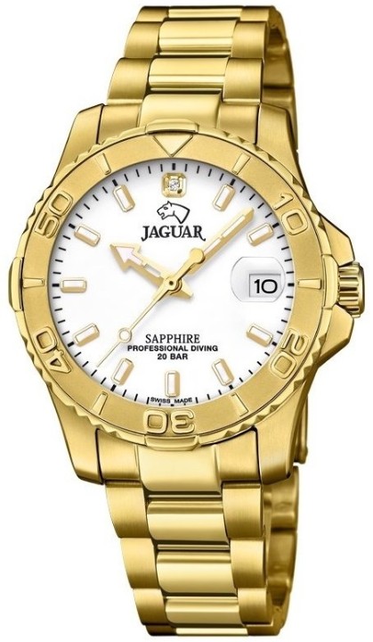 Bild von Jaguar Executive Diver