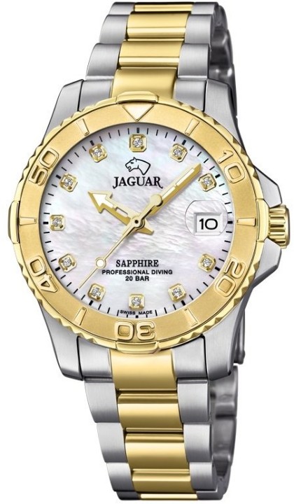 Bild von Jaguar Executive Diver