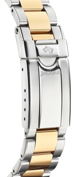 Bild von Jaguar Executive Diver