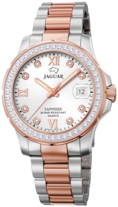 Bild von Jaguar Executive Diver