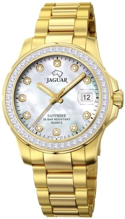Bild von Jaguar Executive Diver