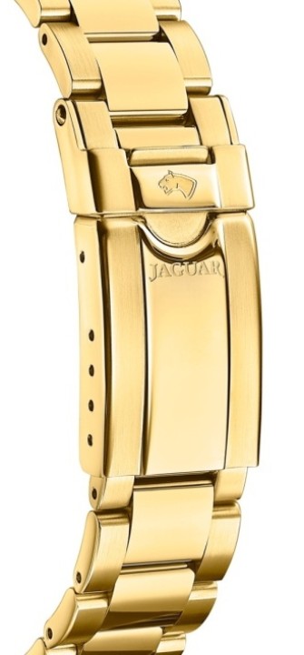 Bild von Jaguar Executive Diver