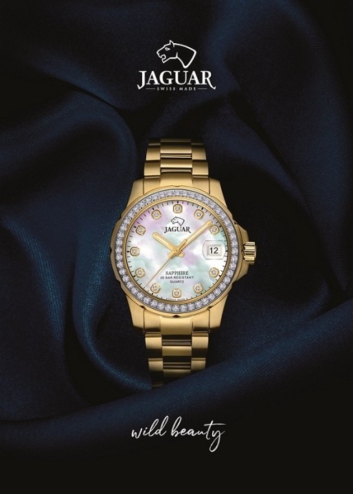 Bild von Jaguar Executive Diver