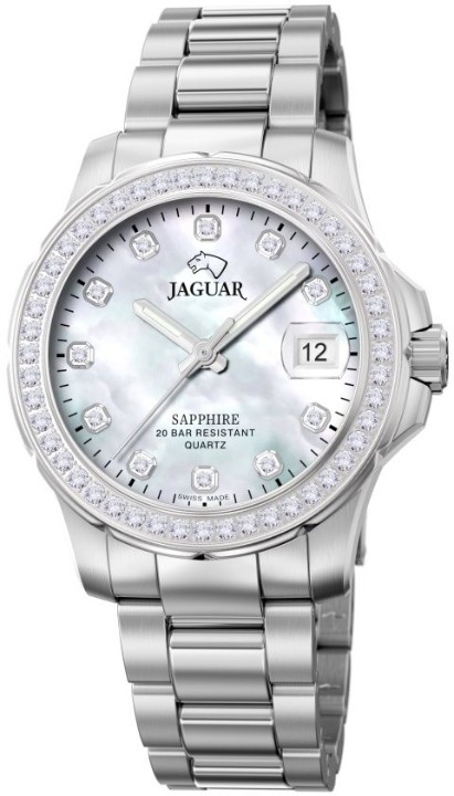 Bild von Jaguar Executive Diver