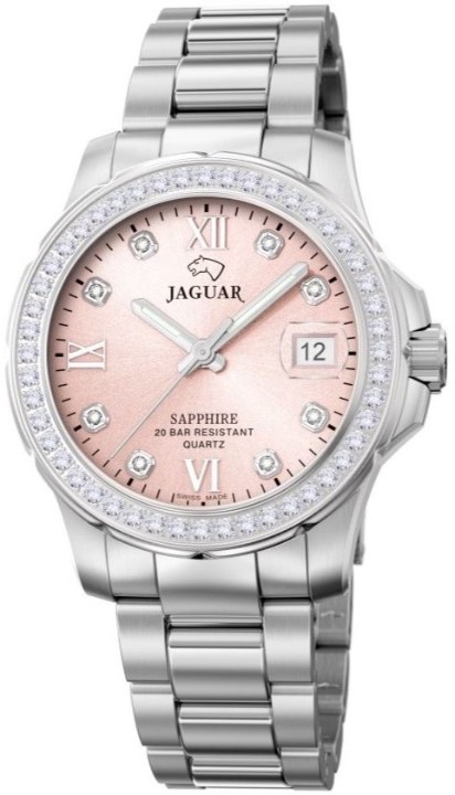 Bild von Jaguar Executive Diver