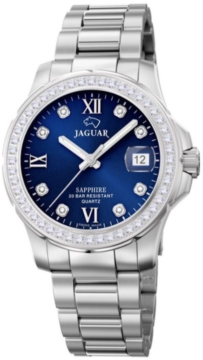 Bild von Jaguar Executive Diver
