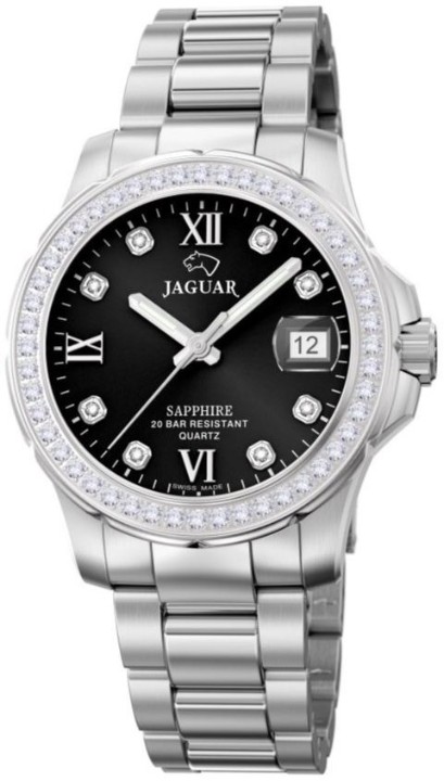 Bild von Jaguar Executive Diver