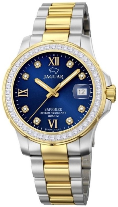 Bild von Jaguar Executive Diver