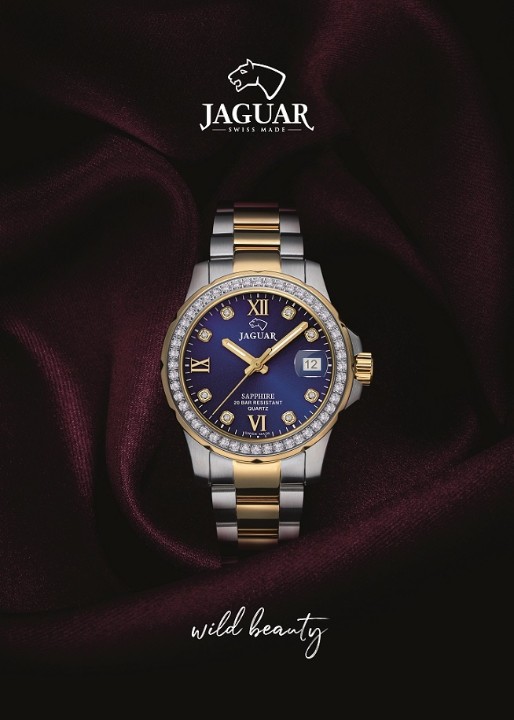 Bild von Jaguar Executive Diver
