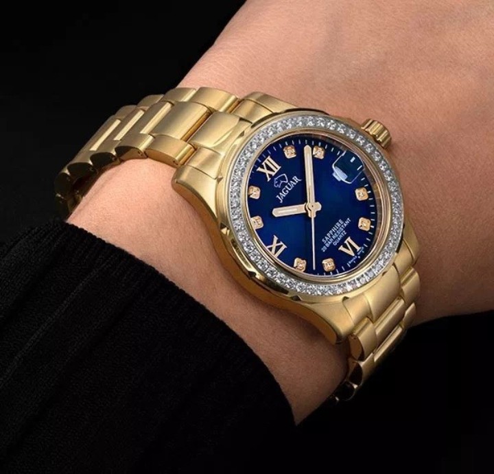 Bild von Jaguar Executive Diver