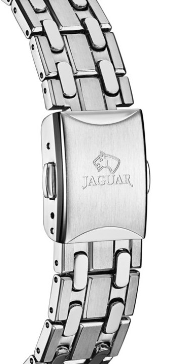Bild von Jaguar Woman