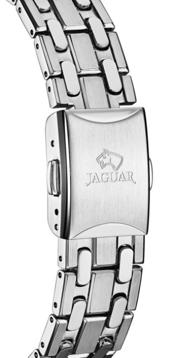 Bild von Jaguar Woman