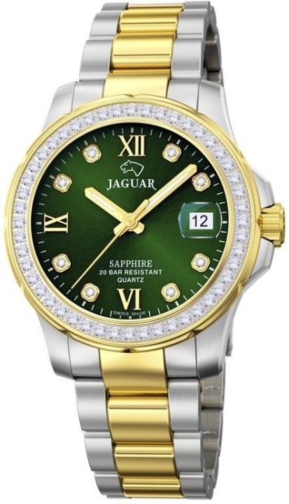 Bild von Jaguar Executive Diver
