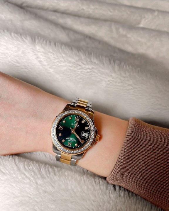 Bild von Jaguar Executive Diver