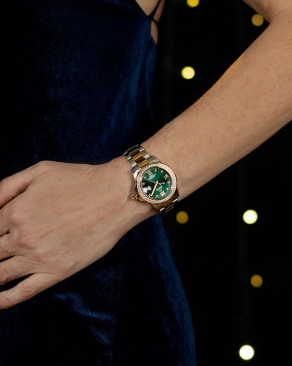 Bild von Jaguar Executive Diver