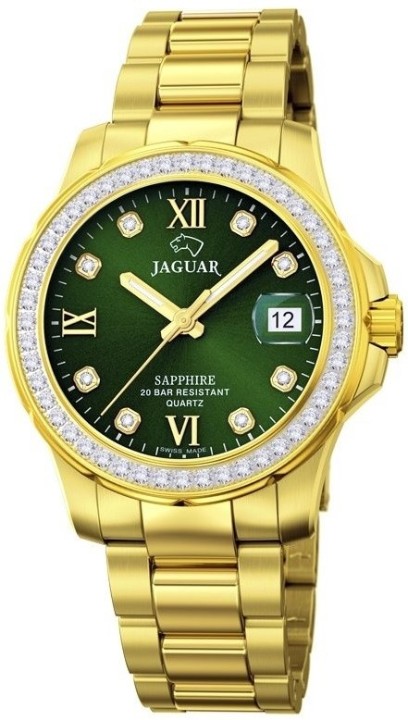Bild von Jaguar Executive Diver