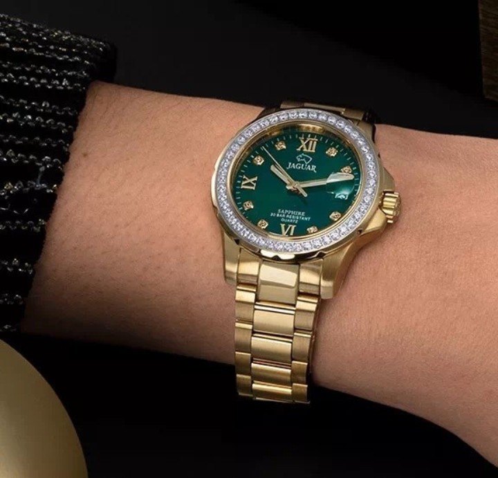 Bild von Jaguar Executive Diver