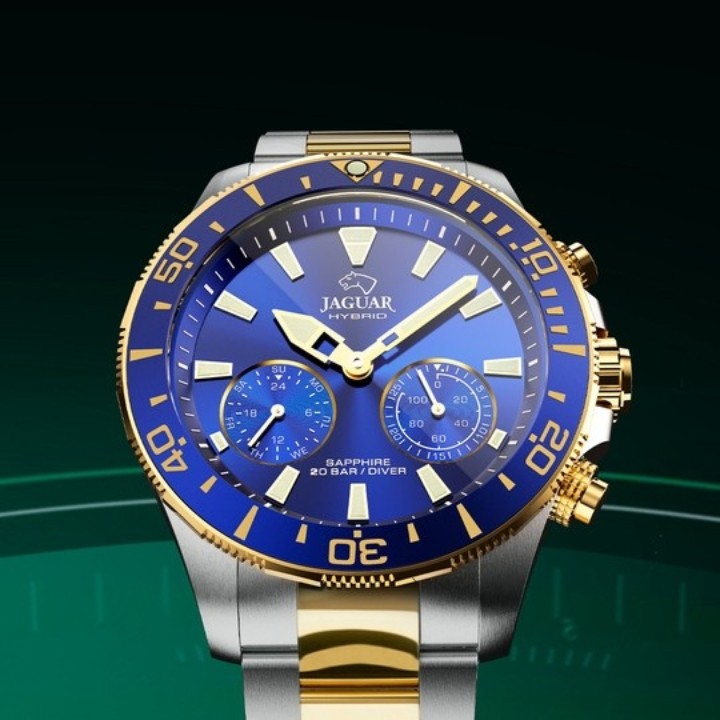 Bild von Jaguar Executive Diver Hybrid