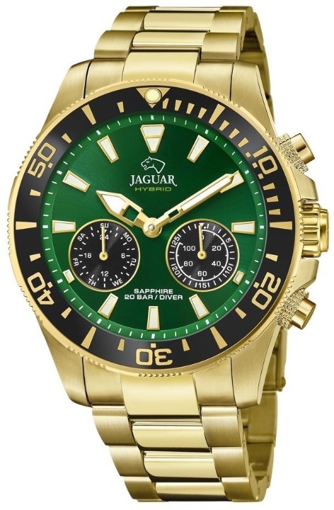 Bild von Jaguar Executive Diver Hybrid