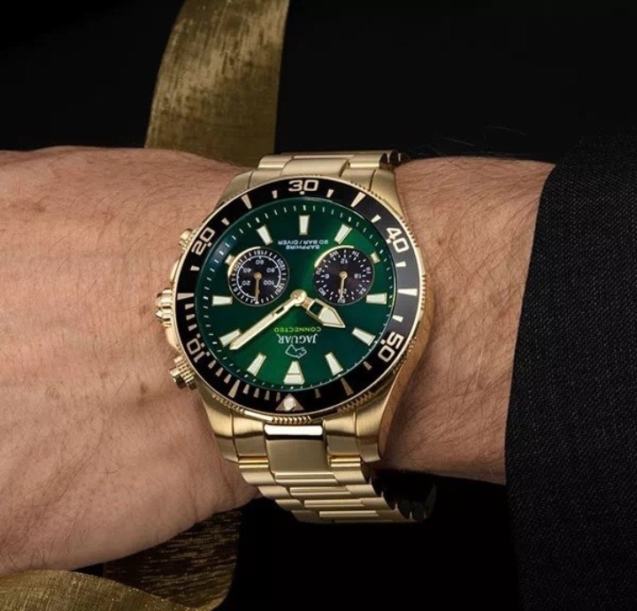 Bild von Jaguar Executive Diver Hybrid