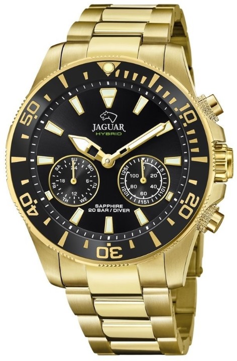 Bild von Jaguar Executive Diver Hybrid