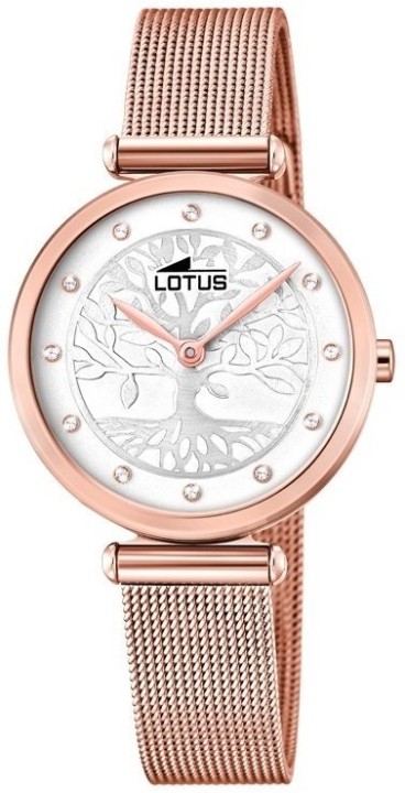 Bild von Lotus Bliss