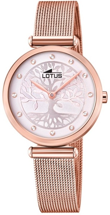 Bild von Lotus Bliss