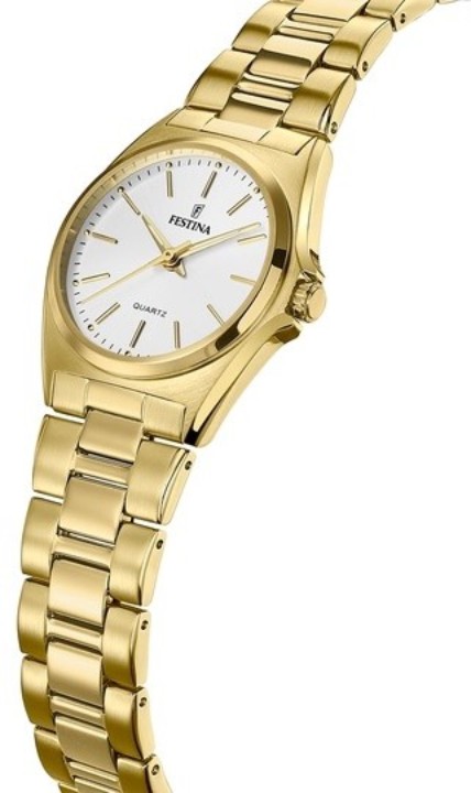 Bild von Festina Classics