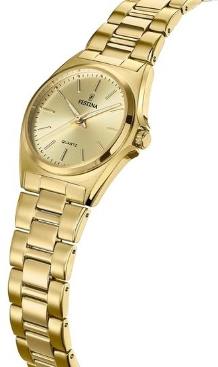 Bild von Festina Classics