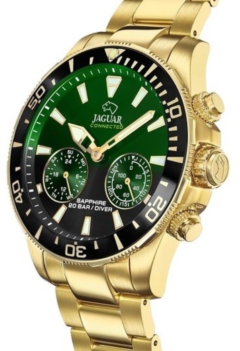 Bild von Jaguar Executive Diver Hybrid