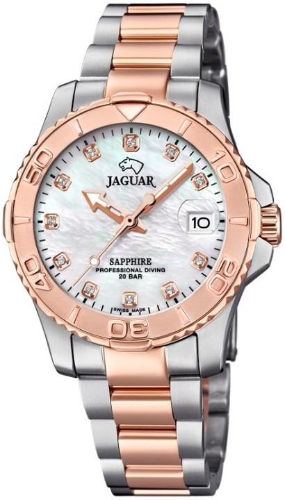Bild von Jaguar Executive Diver
