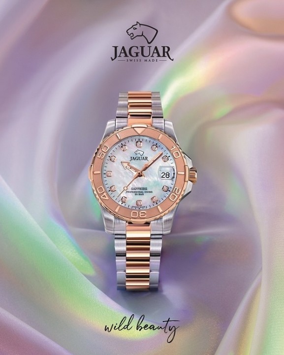 Bild von Jaguar Executive Diver