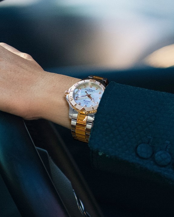 Bild von Jaguar Executive Diver
