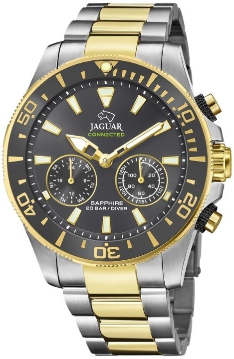 Bild von Jaguar Executive Diver Hybrid