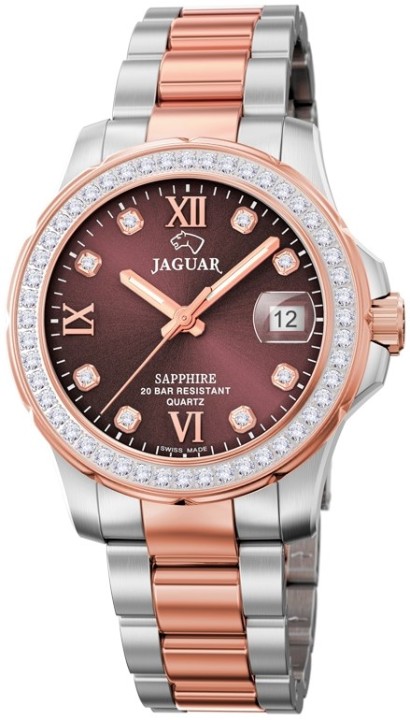 Bild von Jaguar Executive Diver