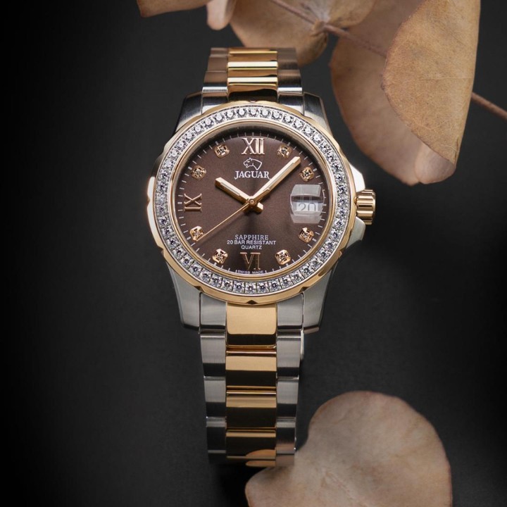 Bild von Jaguar Executive Diver