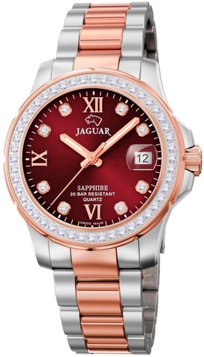 Bild von Jaguar Executive Diver