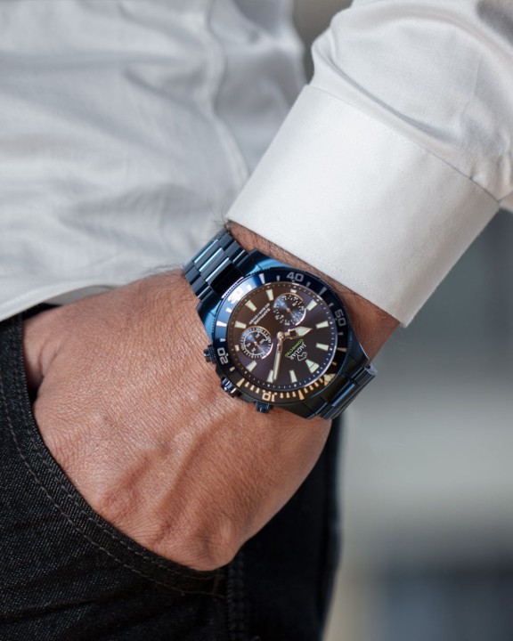 Bild von Jaguar Executive Diver Hybrid