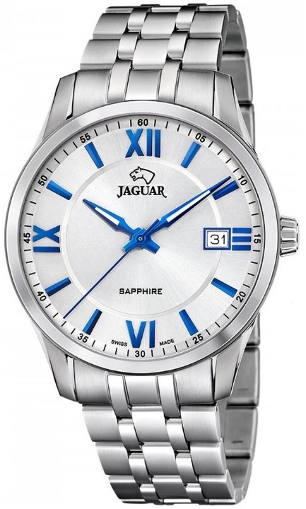 Bild von Jaguar Acamar