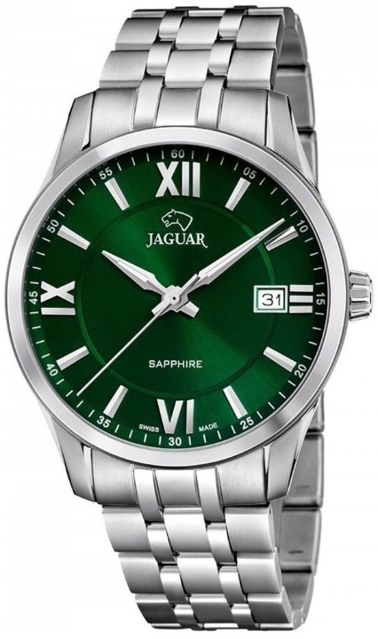 Bild von Jaguar Acamar