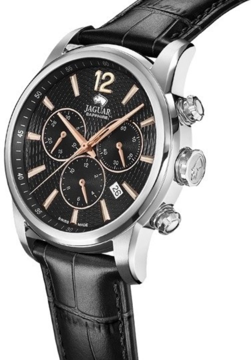Bild von Jaguar Acamar