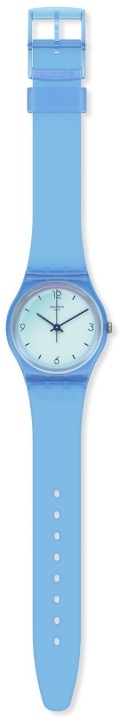 Bild von Swatch Swan Ocean
