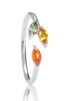 Produktdetails anzeigen - Ring LOEE Gaia aus Weißgold mit Multisaphiren Bild von Ring LOEE Gaia aus Weißgold mit Multisaphiren