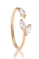 Bild von Ring LOEE Gaia aus Roségold mit Diamanten