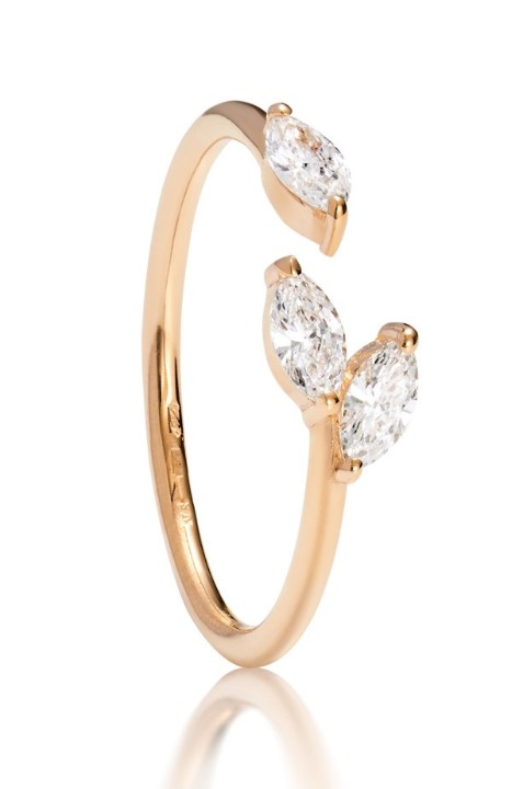 Bild von Ring LOEE Gaia aus Roségold mit Diamanten