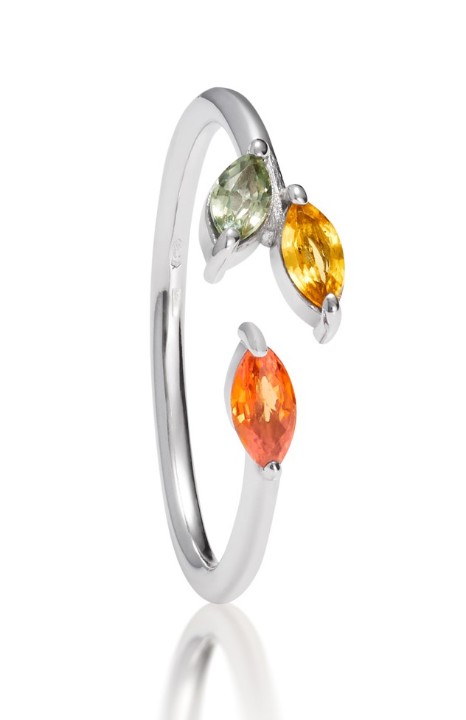 Bild von Ring LOEE Gaia aus Weißgold mit Multisaphiren