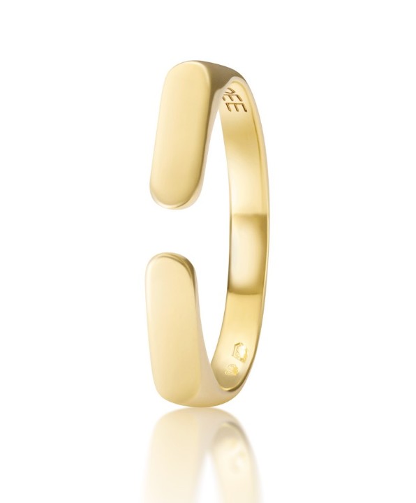 Bild von Ring LOEE AVA aus Gelbgold