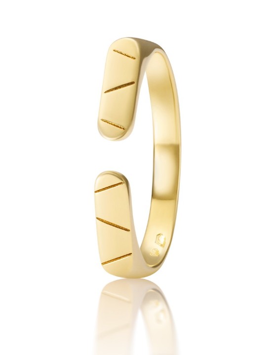Bild von Ring LOEE AVA aus Gelbgold